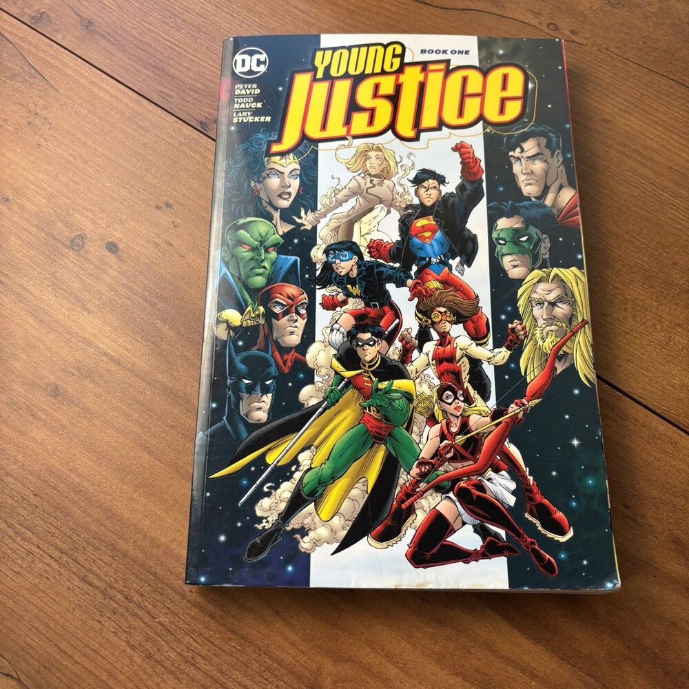 Young Justice Book One by Peter David: Used See pictures